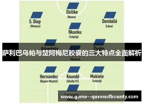 萨利巴乌帕与楚阿梅尼胶囊的三大特点全面解析